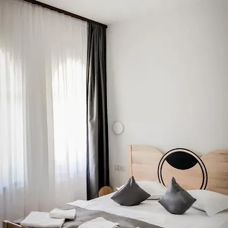 Bed & Breakfast Conacul Olarilor Baia de Fier