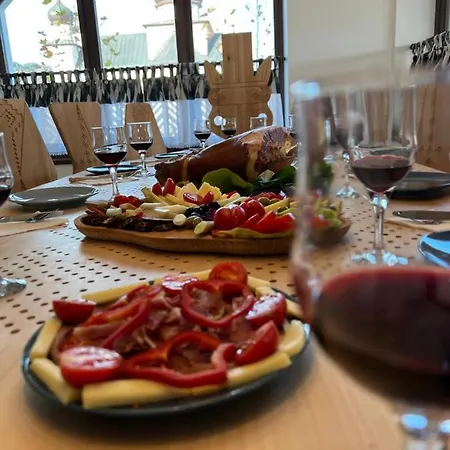 Conacul Olarilor Bed & Breakfast Baia de Fier